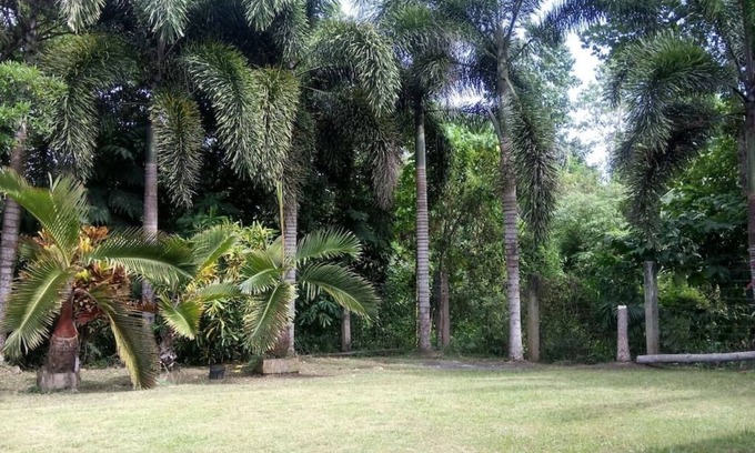 Baclayon House | Guesthouse Surrounded By Trees