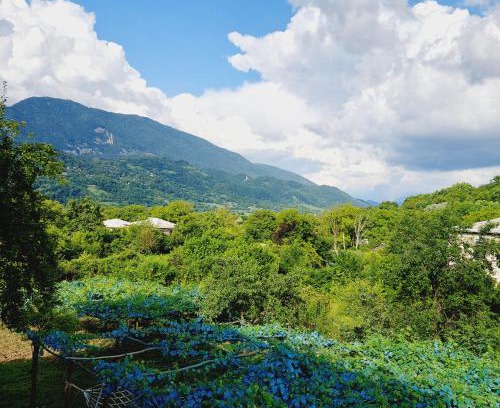 Ambrolauri House | Guesthouse Turo