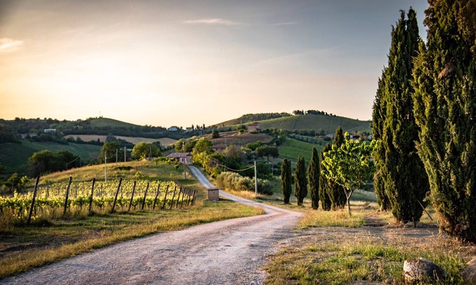 Montalto delle Marche Other | Guided E-bike Tours (1h sea or mountain) with Restaurant available at stay