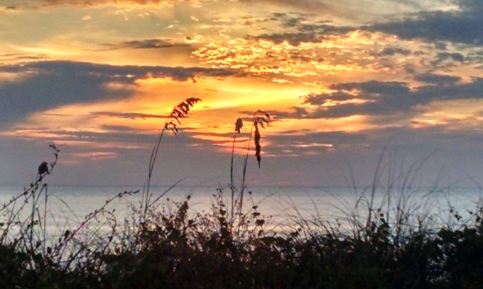 Port St. Joe House | GULF FRONT 3 BR/3.5 bth townhome, steps to the beach! Dogs OK