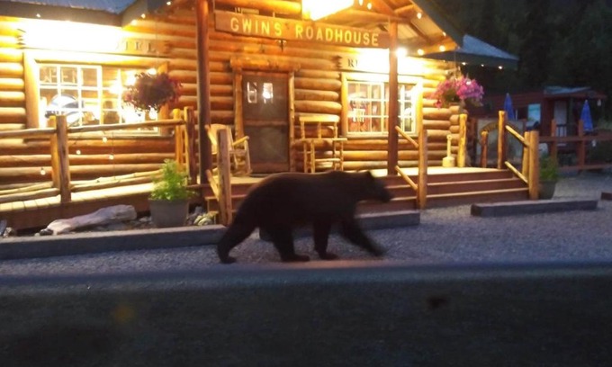 Cooper Landing Cabin | Gwin's Lodge & Roadhouse