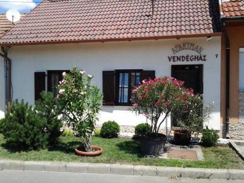 Szigetvar Apartment | Gyöngyvendégház