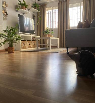 Poligono Norte House | habitacion acogedora con limpieza incluida- buena conexion