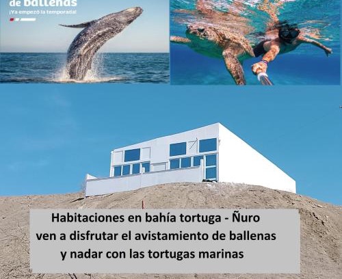 Los Organos House | Habitaciones Bahia de las Tortugas Ñuro