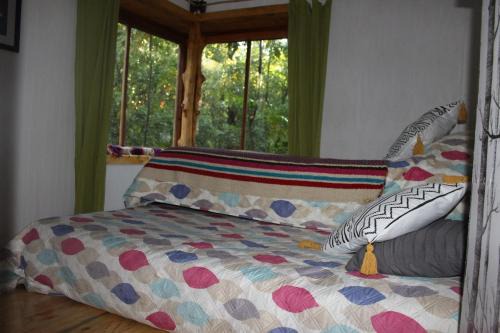 Ralco Bed & Breakfast | Habitaciones en el bosque LLiwin ko Alto Biobio