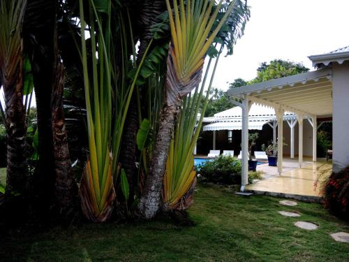 Saint-Francois Villa | Habitation de l'Anse Mancenillier
