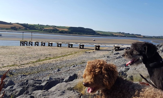 Ferryside Cottage | Hafan fferi, Ferryside, 1 bedroom cottage near the beach