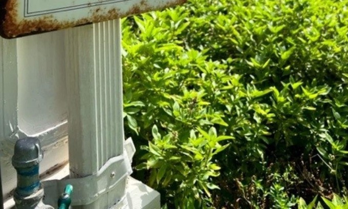 Hempstead Other | Hall House: A Century of Charm Come relax in a beautiful piece of Texas history