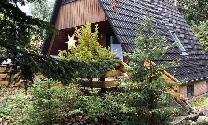 Ovelgoenne Cabin | Hambühren Celle Fairytale forest house Drosselbart Roof-only house Sauna Forest edge Wallbox