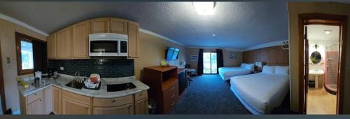Hampton Hotel | Hampton Motel