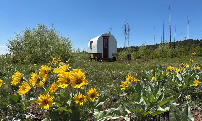 Casper House | Hand-Crafted Sheep Wagon ~ Luxuriously Rustic ~ Private Meadow Site