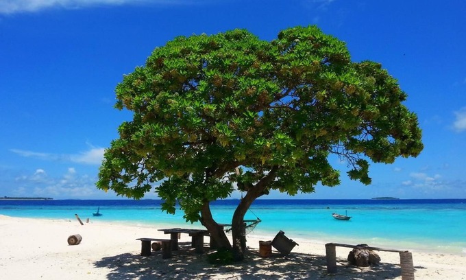 Dharavandhoo House | Hanifaru Transit Inn