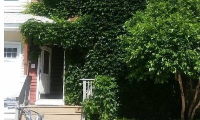 Allston Apartment | Happy Green House ,Boston Landing, BU, BC, Harvard and MIT