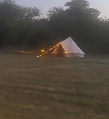 Hethel Other | Happy Meadows - Mushroom Street