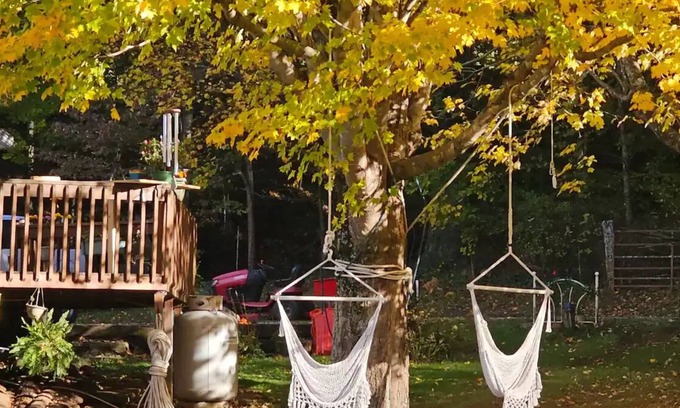 Roan Mountain Apartment | Happy Place Valley View: Soothe your soul at this unique, tranquil getaway.