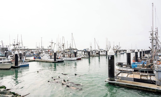 Crescent City Apartment | Harbor View Bliss Apartment 2