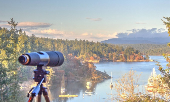 Friday Harbor Condo | Harbor View Condo in Downtown! (Marina Lookout)