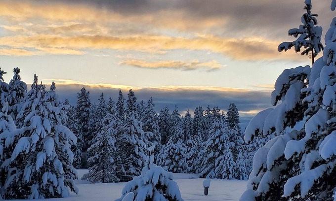 Rea Cabin | Hardrock 50- #12 Rustic cabin retreat in the heart of adventure country.