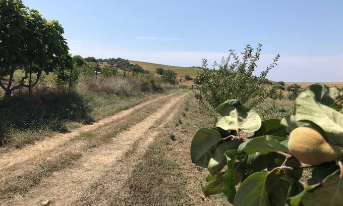 Gallipoli House | harika bir hafta sonu. güzel bir tatil