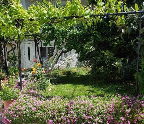 Kavala Apartment | Hariskof garden house