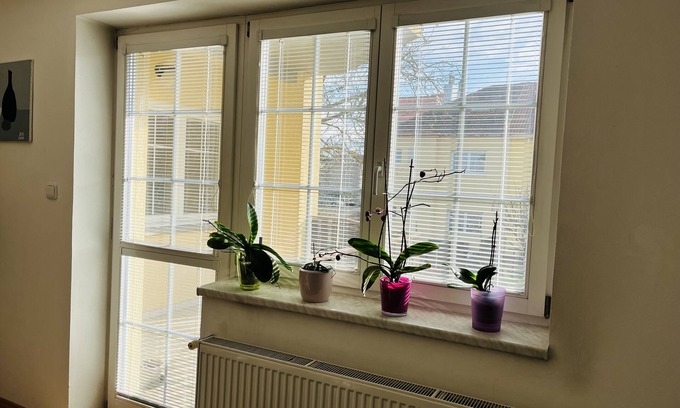 Zabehlice Apartment | Harrison Homes Apartment 01 - Peaceful Oasis in Prague 10 - Garden City nn