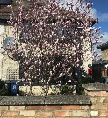 Cambridge Bed & Breakfast | Harry's bed and breakfast