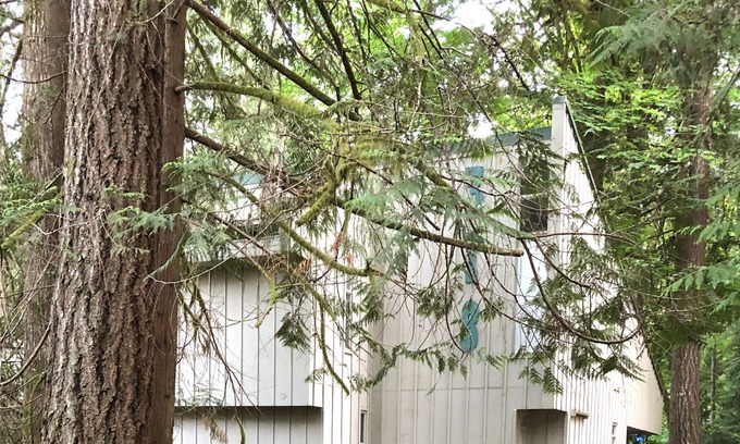 Burley House | Harstine Island Getaway