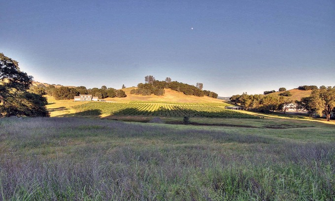 Lotus House | Hart 2 Hart Vineyards Winery Estate Farmhouse: Beauty in Coloma Valley