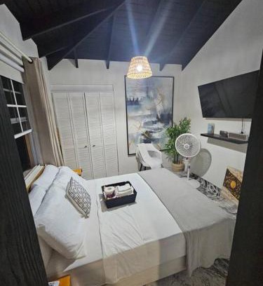 Bridgetown Apartment | Harvey's Mizpahcot Oasis - Cruise Port, Us Embassy and Vacation
