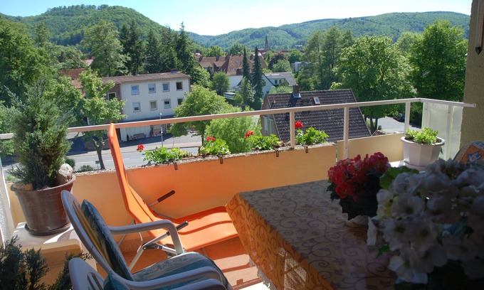 Bad Harzburg Apartment | HARZ-Fewos* for 2-4 P.(up to 6Pers - Fewo bookable), centrally located, each 1Balko