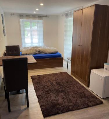 Wassen Apartment | Haus Alpenhof