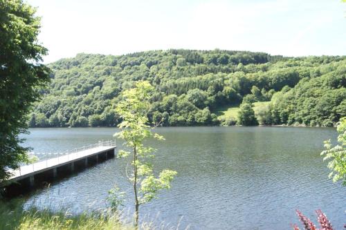 Einruhr Apartment | Haus am See