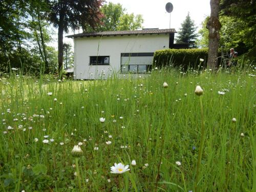 Feriendorf Lissendorf House | Haus am Wald