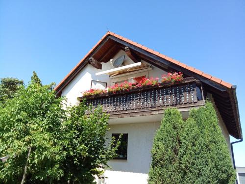 Lossatal Apartment | Haus Carmen