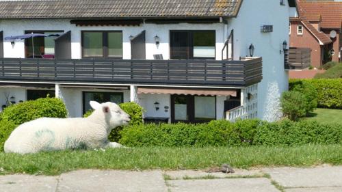 Suederhafen Apartment | Haus Lith Deichblick