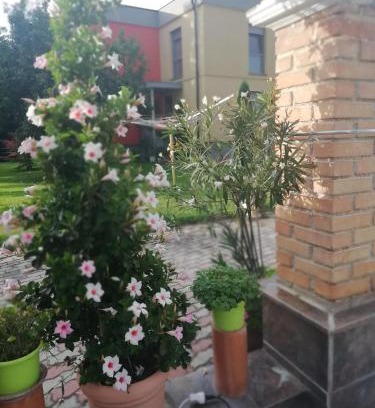 Loosdorf Apartment | Haus Maria
