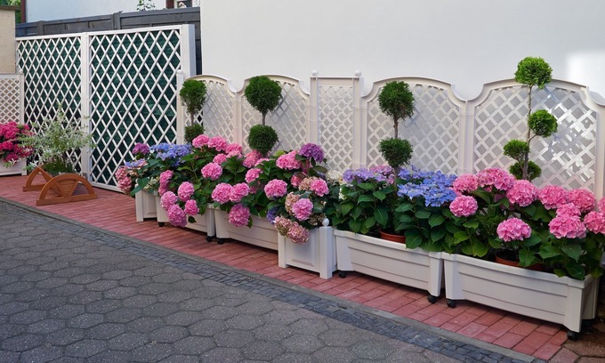 Bilk Hotel | Haus Mooren Hotel Garni