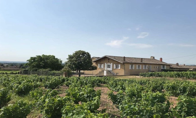 Charentay House | Haut oak cottage in the heart of the Beaujolais vineyard