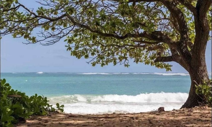 Laie House | Hawaii Palm B - Beachfront, Hot Tub