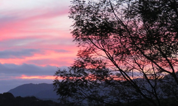 Whirinaki Bed & Breakfast | Hawksview - Rural Outlook andamp; Harbour Views with fireplace