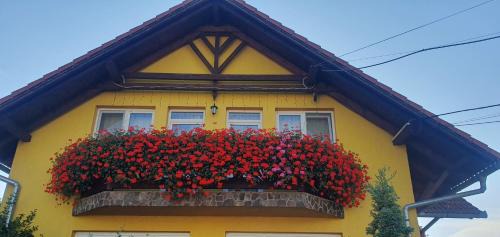 Corund Bed & Breakfast | Hazanéző Panzió