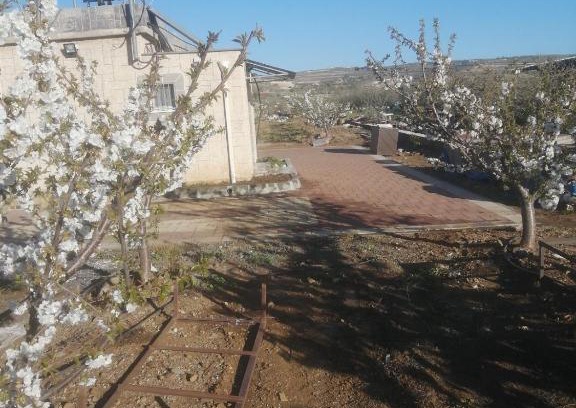 Majdal al-Shams Apartment | הבית בשדה הדובדבן cherry house