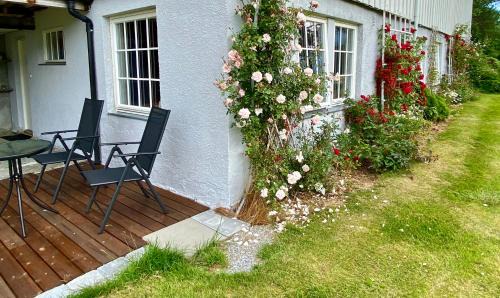 Isfjorden Apartment | Heinåli apartment