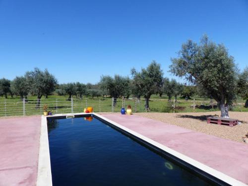 Portalegre House | Herdade Da Carapuça