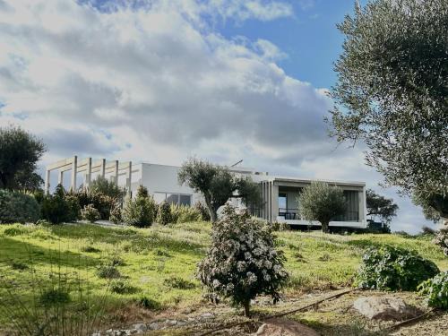 Reguengos de Monsaraz Villa | Herdade Vale Castelo