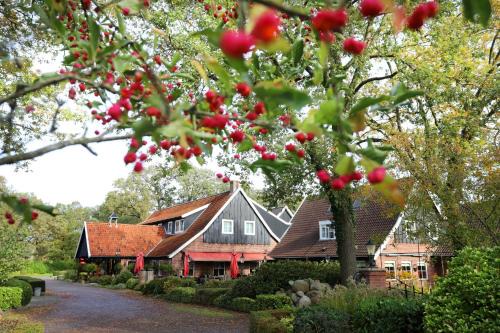 De Lutte Hotel | Het Ros van Twente
