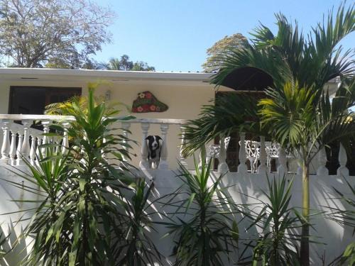 Contadora Island Bed & Breakfast | Hibiscus House Bed and Breakfast