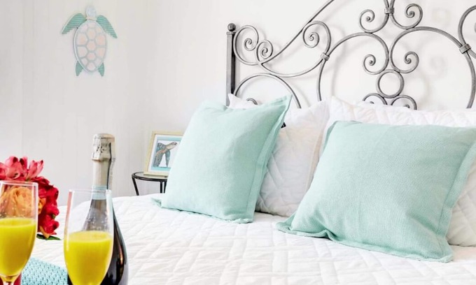 Fort Myers River District House | Hibiscus House Bed & Breakfast Inn Turtle Room Bed-ADA