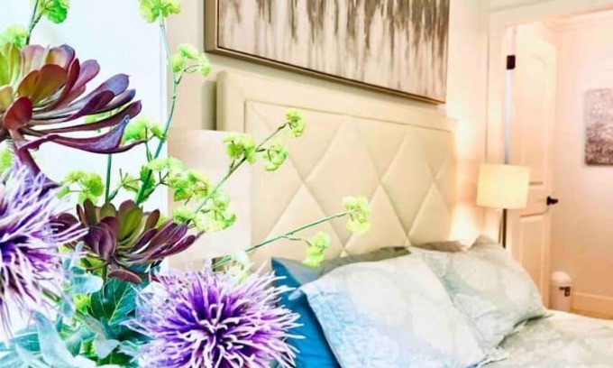 Renfrew-Collingwood Apartment | Hidden Gem 1-2 Bedroom Vancouver near Metrotown Burnaby