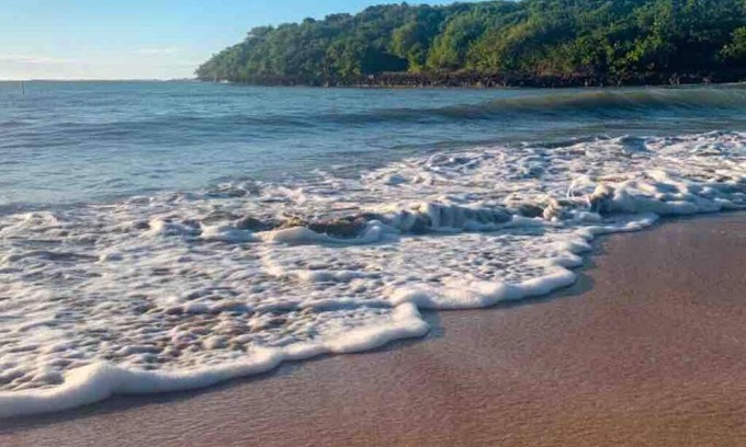 San Isidro Apartment | Hidden gem 7 mins from the beach & 15 to el yunque